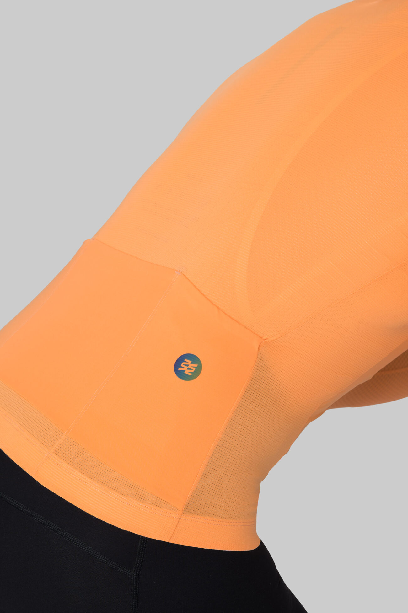 Джерси с длинным рукавом ЭВОЛВ (EVOLVE) Оранж мужская