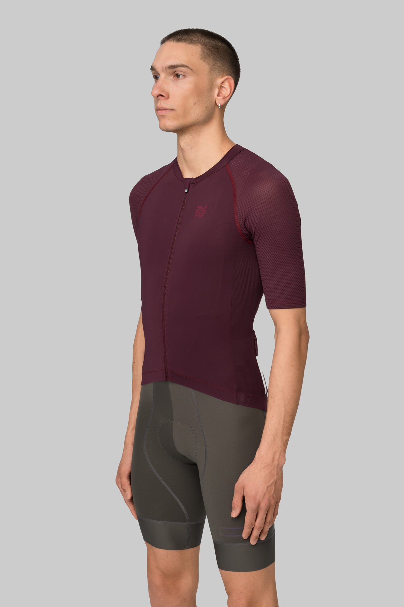 Джерси классическая ЭВОЛВ (EVOLVE) Вино мужская