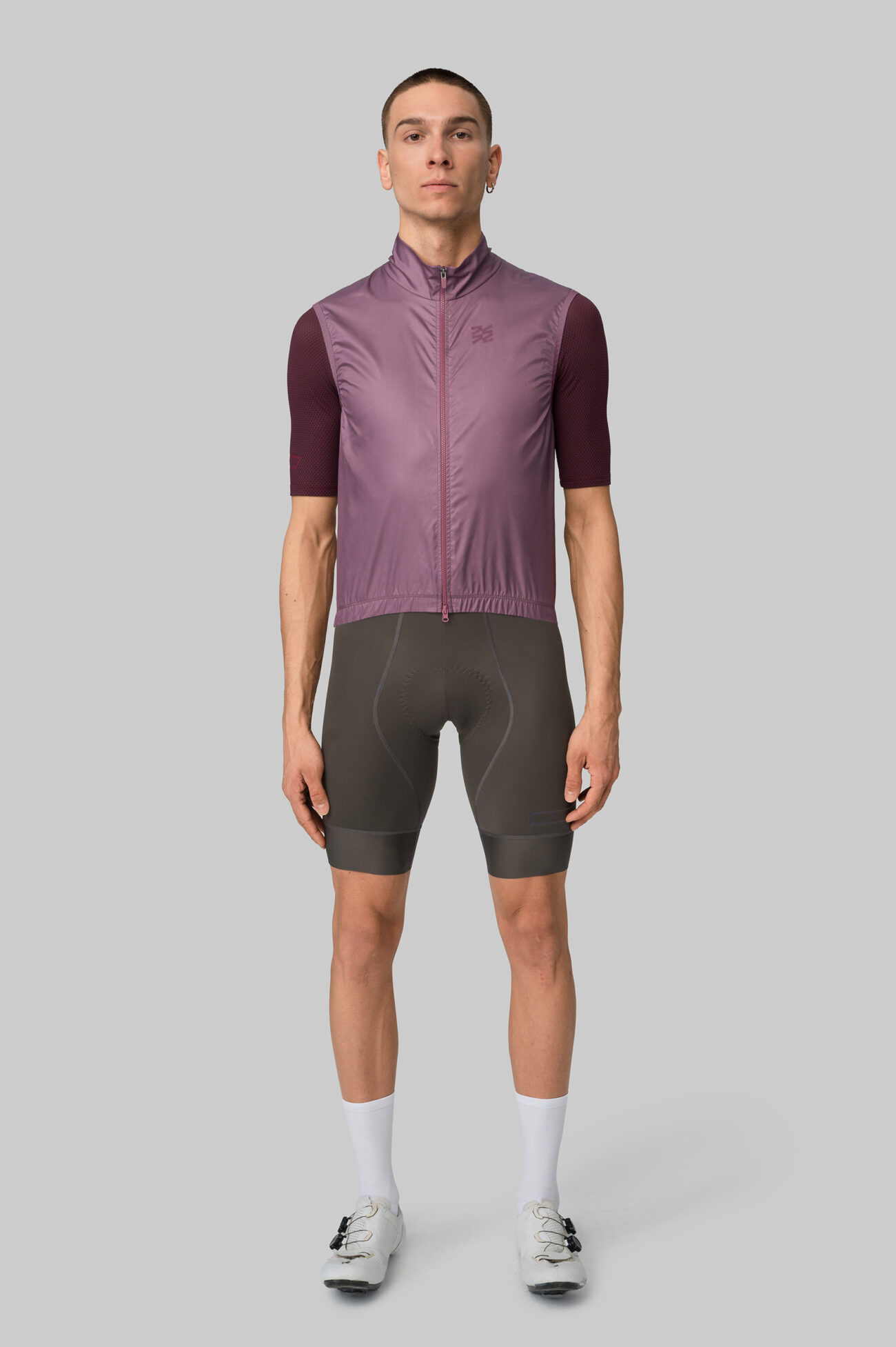 Жилетка ветрозащитная ЭВОЛВ (EVOLVE) Баклажан мужская