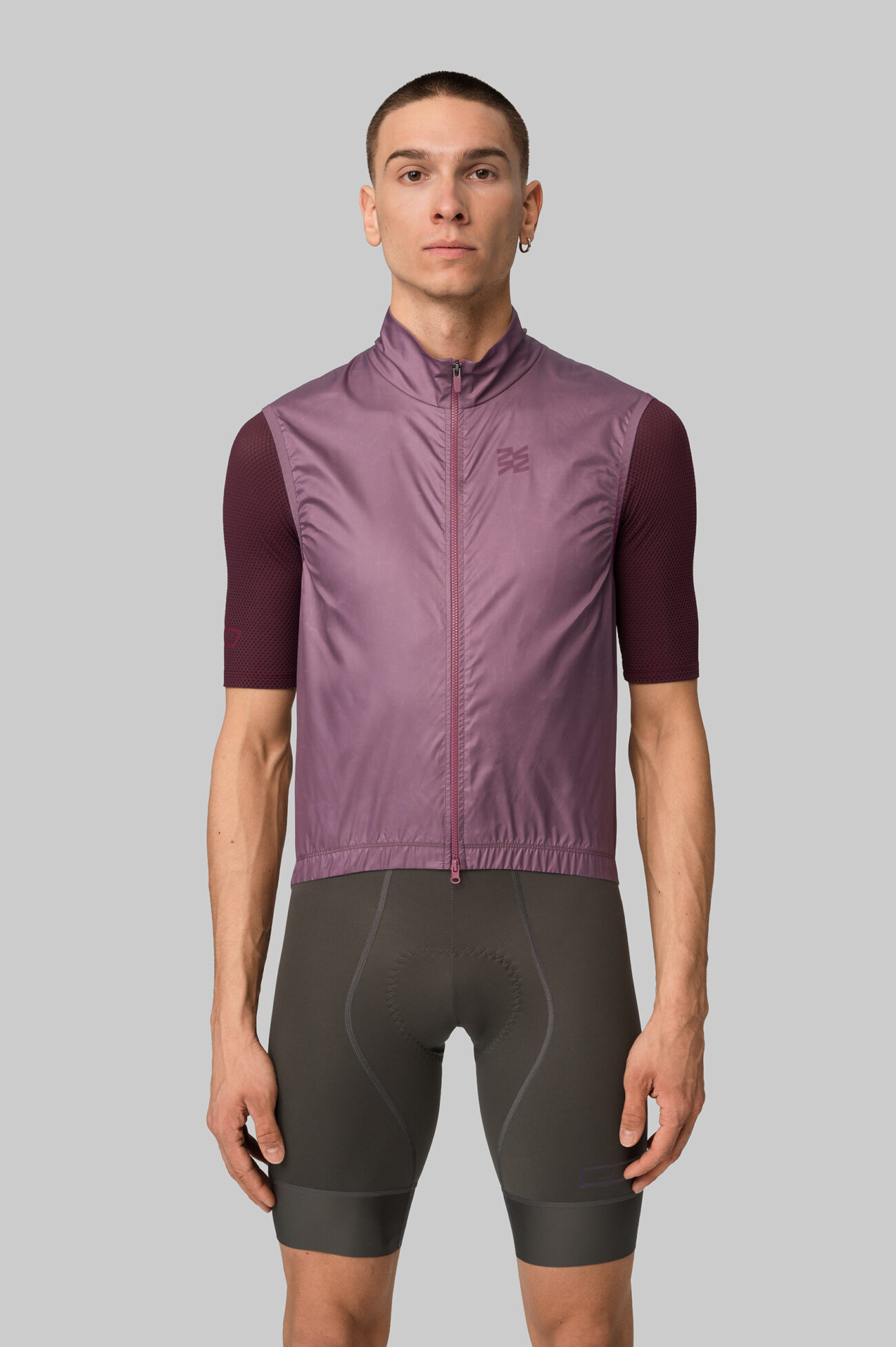 Жилетка ветрозащитная ЭВОЛВ (EVOLVE) Баклажан мужская