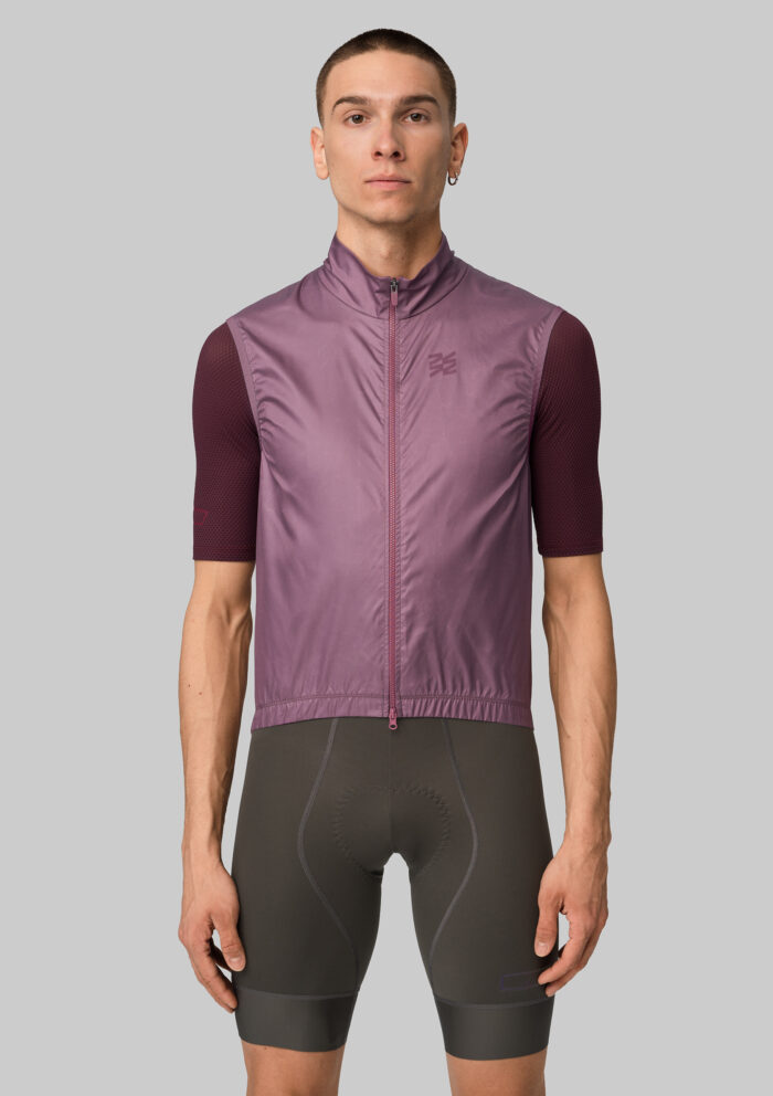 Жилетка ветрозащитная ЭВОЛВ (EVOLVE) Баклажан мужская