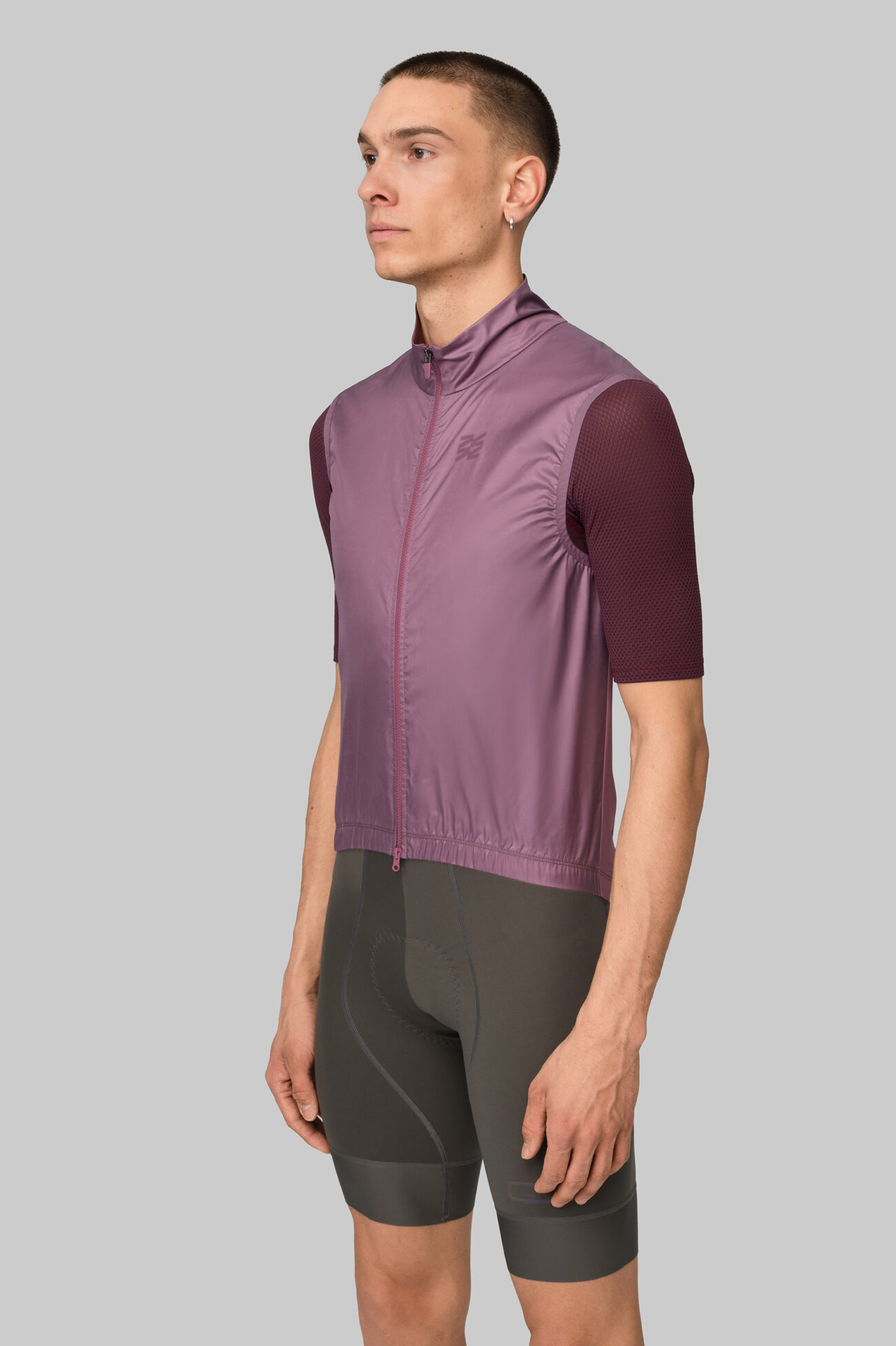 Жилетка ветрозащитная ЭВОЛВ (EVOLVE) Баклажан мужская