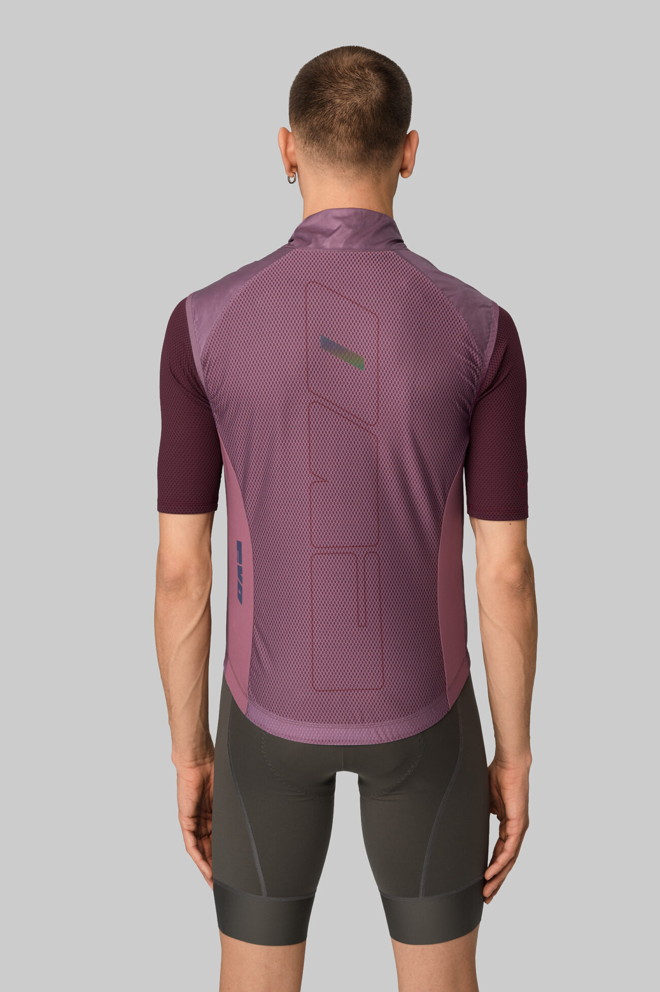 Жилетка ветрозащитная ЭВОЛВ (EVOLVE) Баклажан мужская