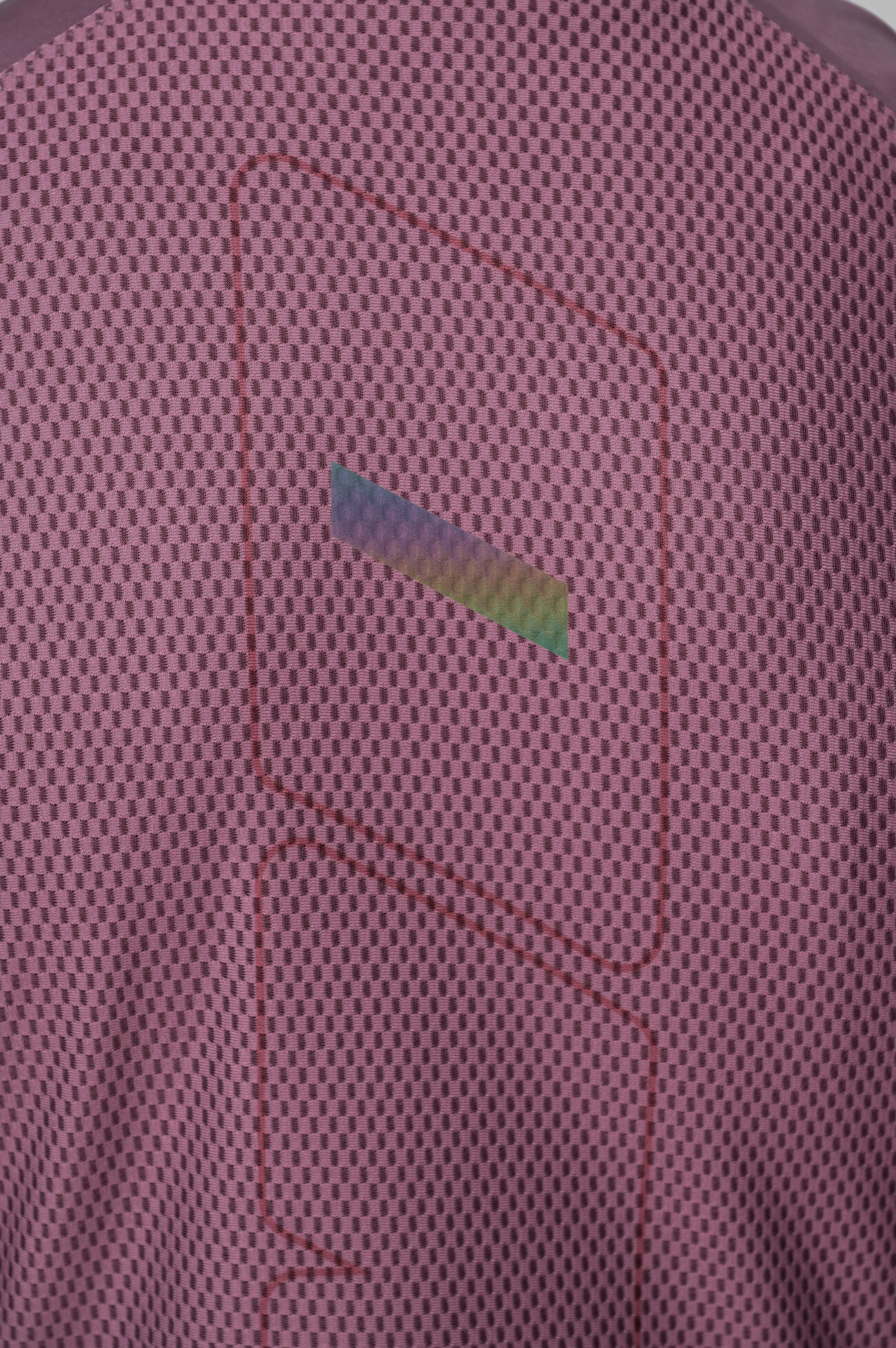 Жилетка ветрозащитная ЭВОЛВ (EVOLVE) Баклажан мужская