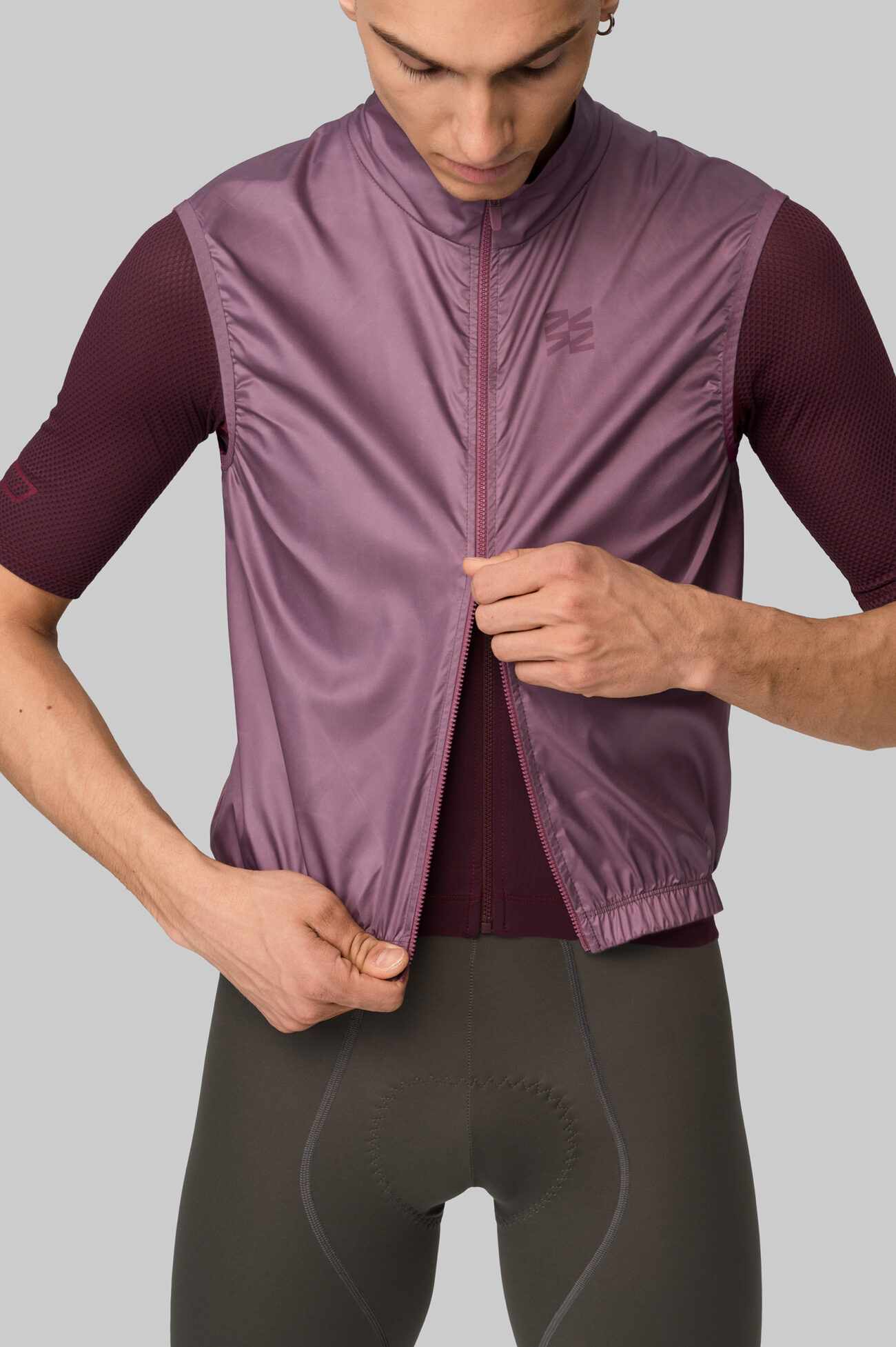 Жилетка ветрозащитная ЭВОЛВ (EVOLVE) Баклажан мужская