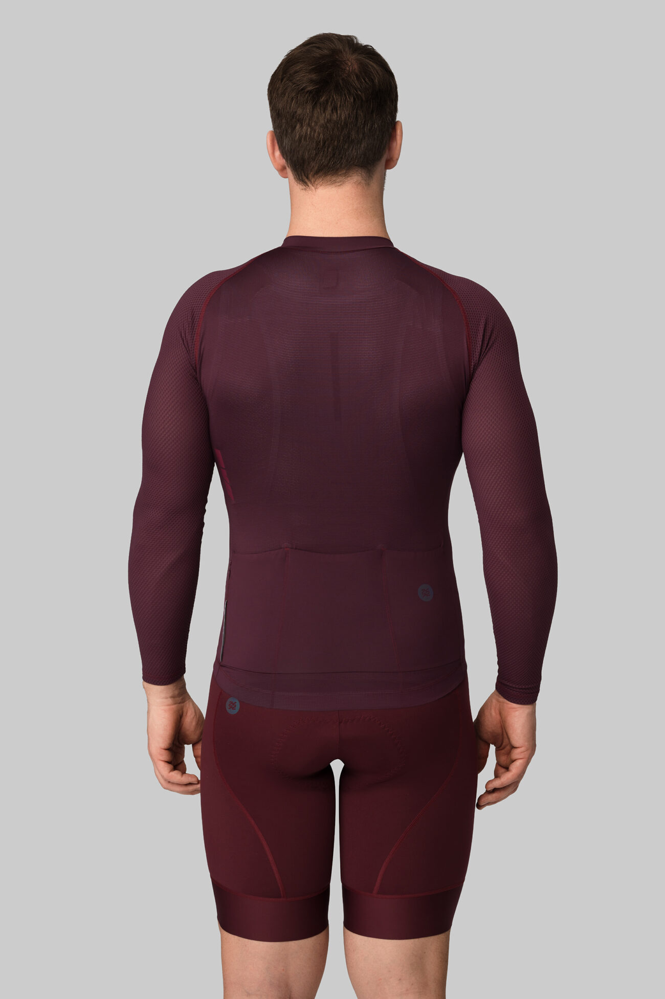 Джерси с длинным рукавом ЭВОЛВ (EVOLVE) Вино мужская