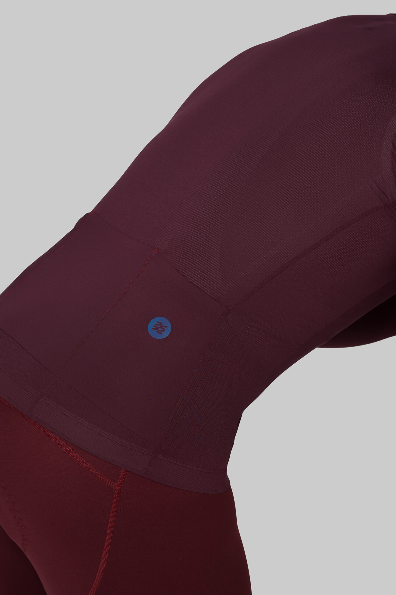 Джерси с длинным рукавом ЭВОЛВ (EVOLVE) Вино мужская